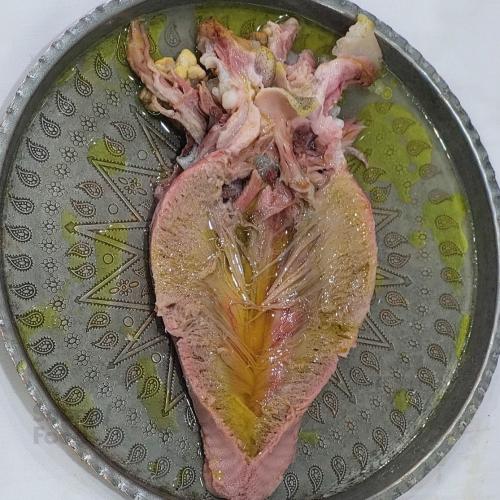 زبان گوسفندی