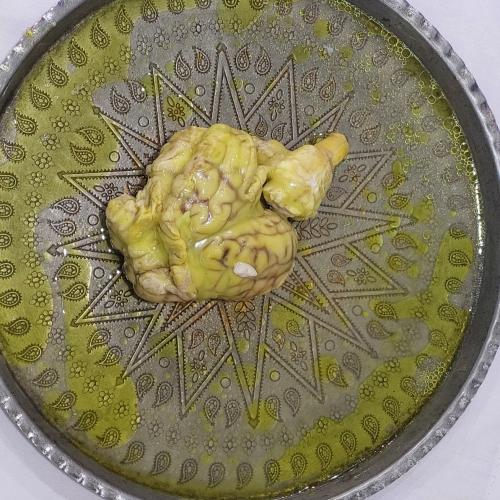 مغز گوسفندی